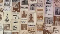 Backdrop to the movie "Broadway: The Golden Age, by the Legends Who Were There" #757091