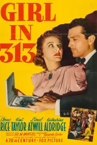 Poster to the movie "Girl in 313" #1232746