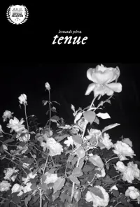 Poster to the movie "tenuous" #478159