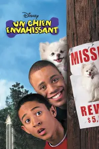 Poster to the movie "The Italian Straw Hat" #1197747