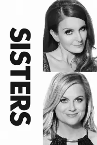 Poster to the movie "Sisters" #718716
