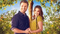 Backdrop to the movie "Love Under the Lemon Tree" #795159
