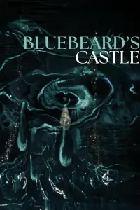 Poster to the movie "Bluebeard