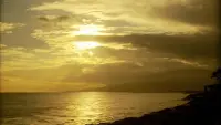 Backdrop to the movie "Pearl Harbor: 24 Hours After" #702944