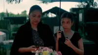 Backdrop to the movie "When It Rained Malunggay Leaves" #852511