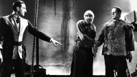 Backdrop to the movie "Son of Frankenstein" #788368