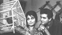 Backdrop to the movie "Dastak" #893394