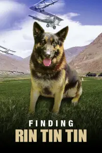 Poster to the movie "Finding Rin Tin Tin" #1100041
