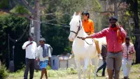 Backdrop to the movie "Akka Kuruvi" #874821