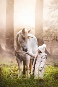 Tale of the Forest Unicorn