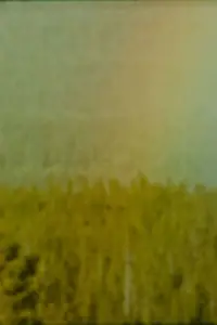 Poster to the movie "Bird" #1024514