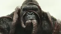 Backdrop to the movie "Kong: Skull Island" #741677