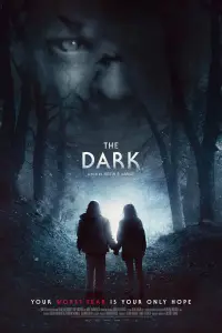 Poster to the movie "The Dark" #1160293