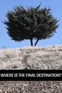 Poster to the movie "Where is the Final Destination?" #718658