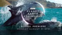 Backdrop to the movie "Planet Earth: A Celebration" #806575