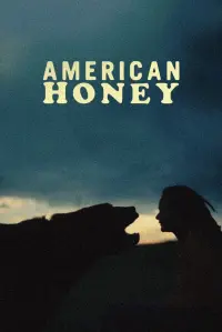 Poster to the movie "American Honey" #261742