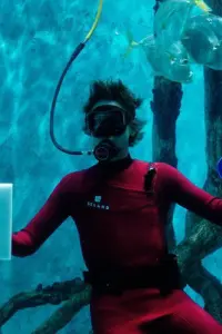 Poster to the movie "Mermaid" #677573