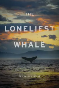 Poster to the movie "The Loneliest Whale: The Search for 52" #1021005