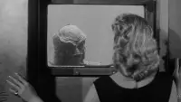 Backdrop to the movie "Revenge of the Creature" #523641
