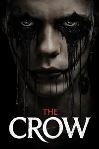 Poster to the movie "The Crow" #919338