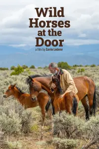 Wild Horses at the Door