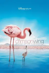 Poster to the movie "The Crimson Wing: Mystery of the Flamingos" #964457