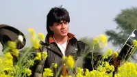 Backdrop to the movie "Dilwale Dulhania Le Jayenge" #1020594