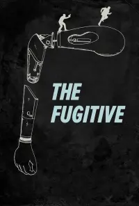 Poster to the movie "The Fugitive" #820418