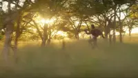 Backdrop to the movie "Mission: Impossible 8" #763223