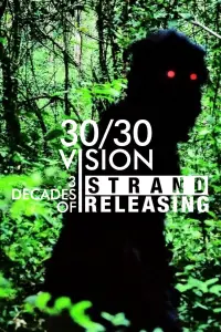 Poster to the movie "30/30 Vision: Three Decades of Strand Releasing" #986715