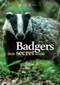 Poster to the movie "Badgers: Their Secret World" #1002504
