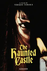 Poster to the movie "Haunted Castle" #1029191
