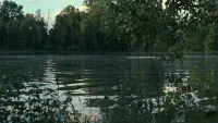 Backdrop to the movie "Call Me by Your Name" #817388