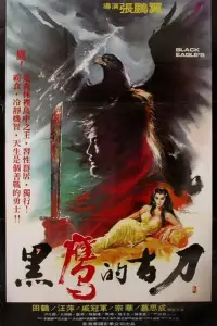 Poster to the movie "Black Eagle