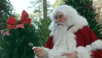 Backdrop to the movie "Santa