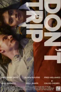 Poster to the movie "Don