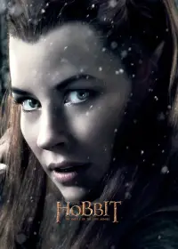 Poster to the movie "The Hobbit: The Desolation of Smaug" #1186226