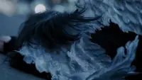 Backdrop to the movie "ARTMS: Icarus" #790805
