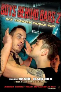 Poster to the movie "Boys Behind Bars 2" #881735