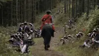 Backdrop to the movie "Barry Lyndon" #819241