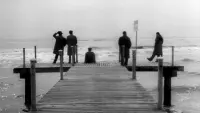 Backdrop to the movie "I Vitelloni" #829523