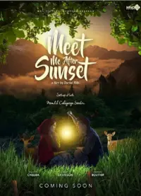 Poster to the movie "Meet Me After Sunset" #1205228