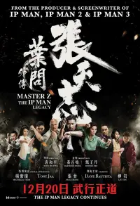 Poster to the movie "Master Z: Ip Man Legacy" #982797