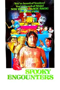 Poster to the movie "Encounter of the Spooky Kind" #978951