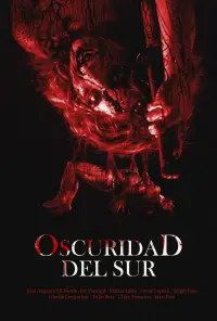 Poster to the movie "Oscuridad del Sur" #542587
