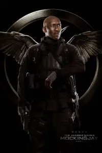 Poster to the movie "The Hunger Games: Mockingjay - Part 1" #566874