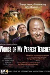 Poster to the movie "Words of My Perfect Teacher" #1178624