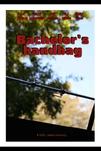Poster to the movie "Bachelors Handbag" #887789