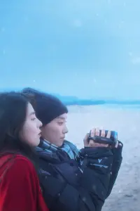 Poster to the movie "Heavy Snow" #682917