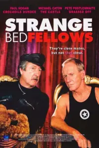 Poster to the movie "Strange Bedfellows" #1064699